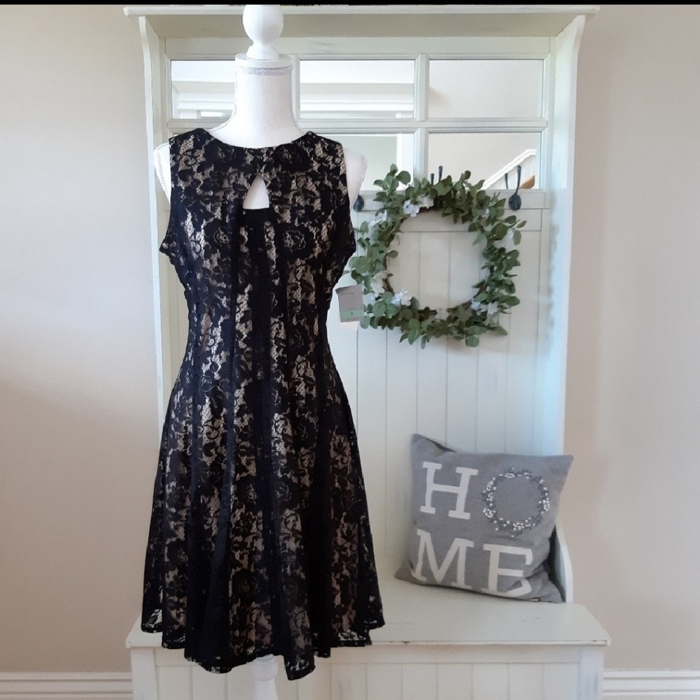 Plus size Lace Fit and Flare Dress